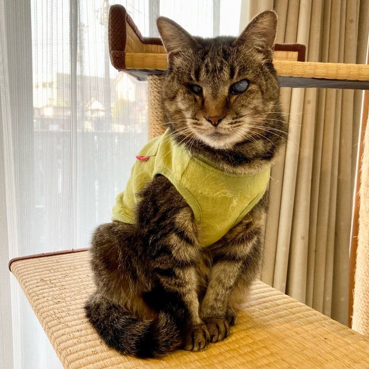 B2fd3216 37c4 452e a79a 1e8fac82c027 1681212285331