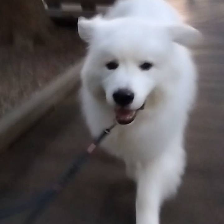 B2fd3c84 2611 4232 a6e7 cf12c7e0a20e 1694987485629