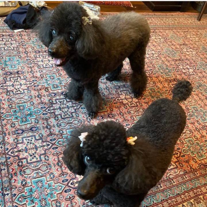 B2fd5e1e efdf 44f0 a004 5afa2f3808e3 1722147627539