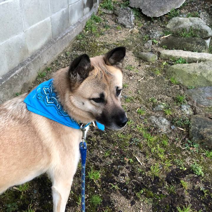 B2fd6f75 5bb4 46a4 8232 383e8b78b5a4 1580303072204