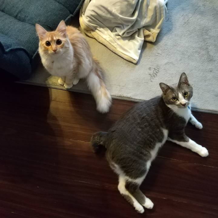 B2fdb24e 7db7 44db 977e c65320dc6fec 1616363435480