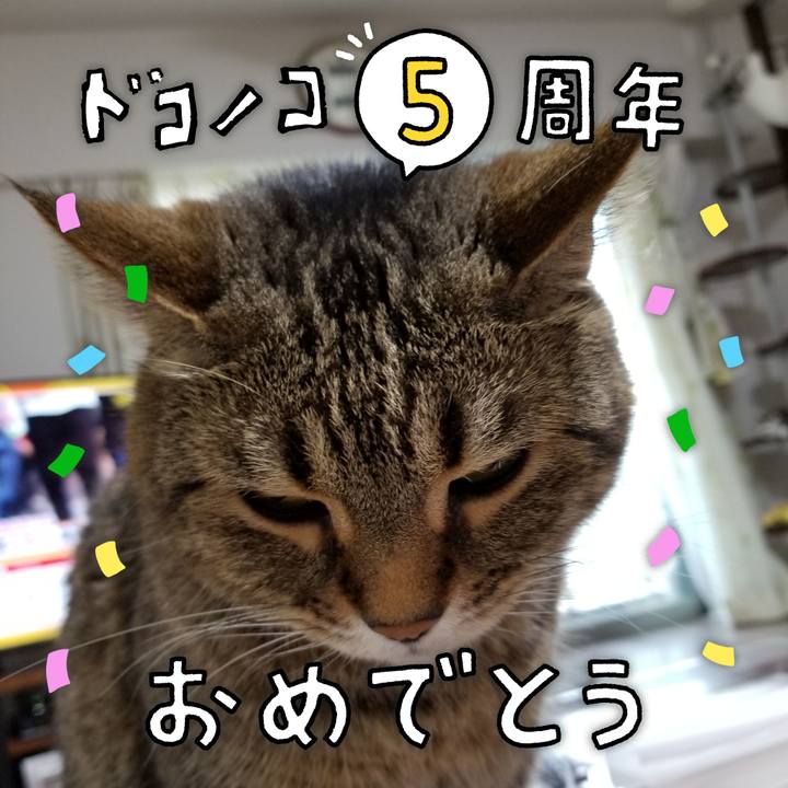 B2fdbaef c7c7 4f46 aefd c228e0aab2fd 1623105066900