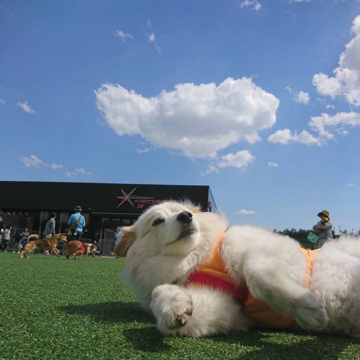 B2fdde69 200c 4b77 a3b5 b9a10b910f5c 1525409850464