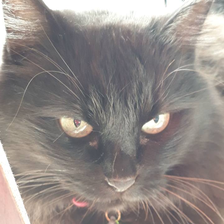 B2fdfb7c 34d2 4268 a48f 5e475ea5c6d9 1518741554287