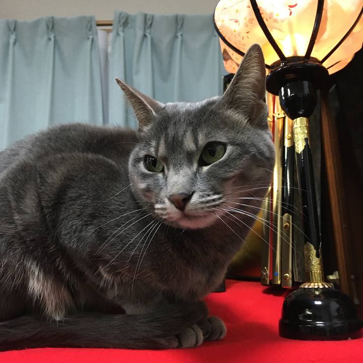 B2fe10f2 793e 4950 b546 c4413f6a1e2b 1583238885606