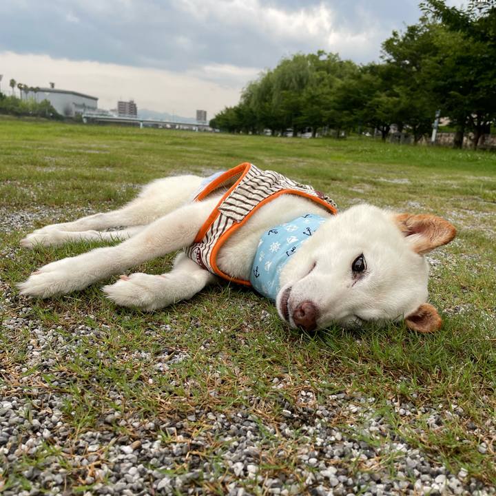 B2fe6f4c 6d2a 4fac 9cb6 12f59f4236b8 1657618682433