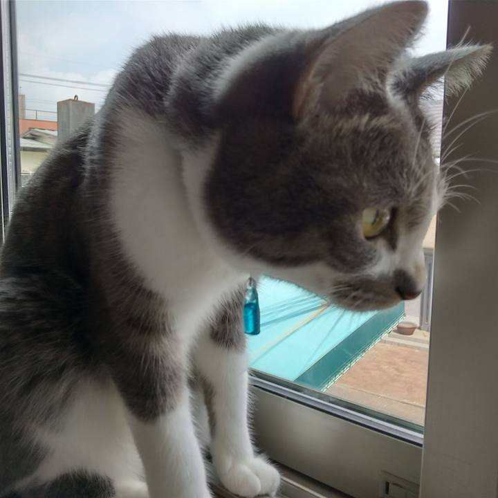 B2fe75d4 2d37 4a83 bd7e 5066f70bd5f1 1630116823612