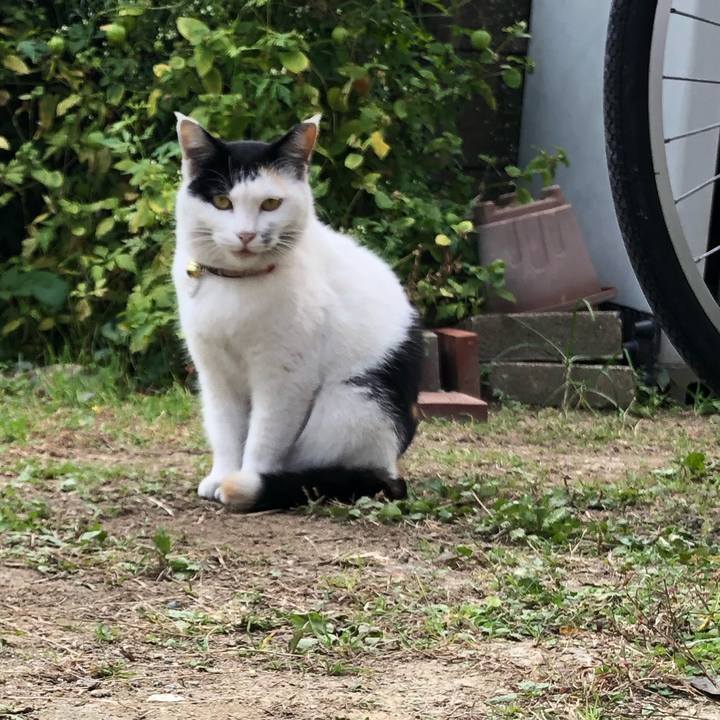 B2fe7e32 87d5 4680 a6a4 3d7ba991c8bc 1605530825982