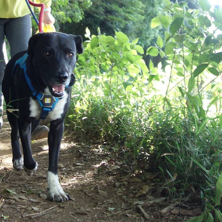 B2fe81d9 75dc 4ae8 9b27 ee7061148b96 1619394938583