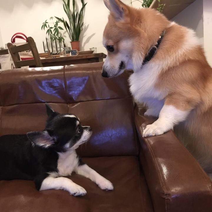 B2fe8c2d e25c 48c6 a3c8 d4513fd4da10 1509237600412