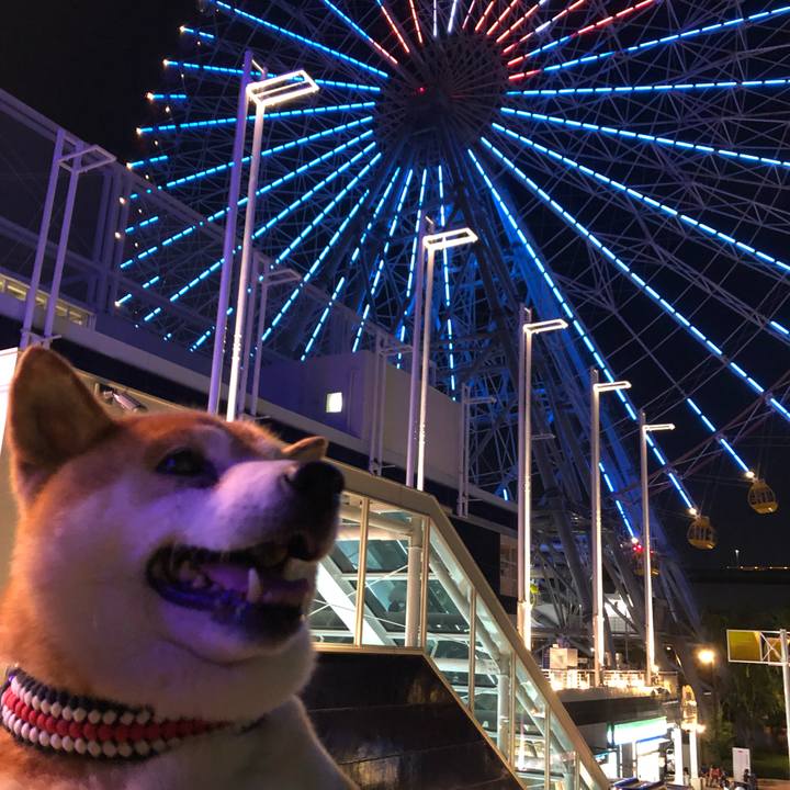 B2fe9363 e359 4290 afec 5630bfd7acd9 1565735646722