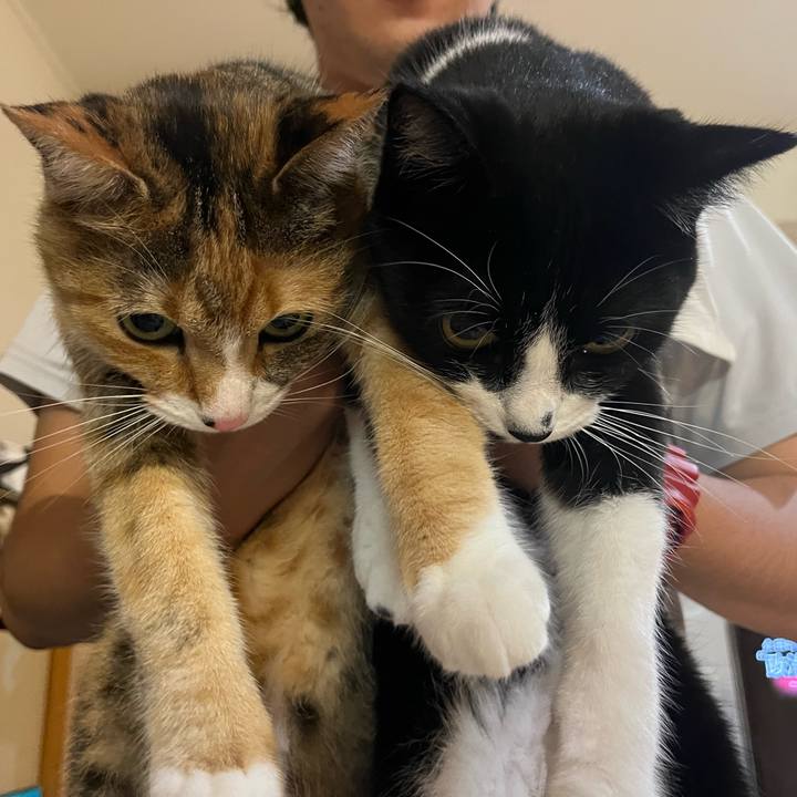 B2fec73e 0aae 49f5 b80e fa59f0916152 1720958868586