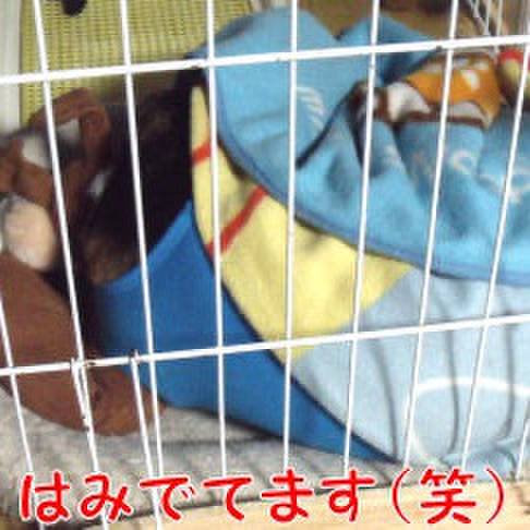 B2fed121 3ac5 450f bb2e 0294d5b74d2f 1705622859197