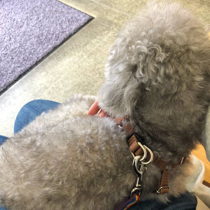 B2fefe36 6061 479e bbc2 2cdac80d5dd7 1536987966373