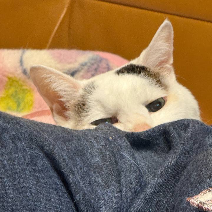 B2ff043b fbcf 4598 bf6c 2b2ececaa0b5 1769689550459