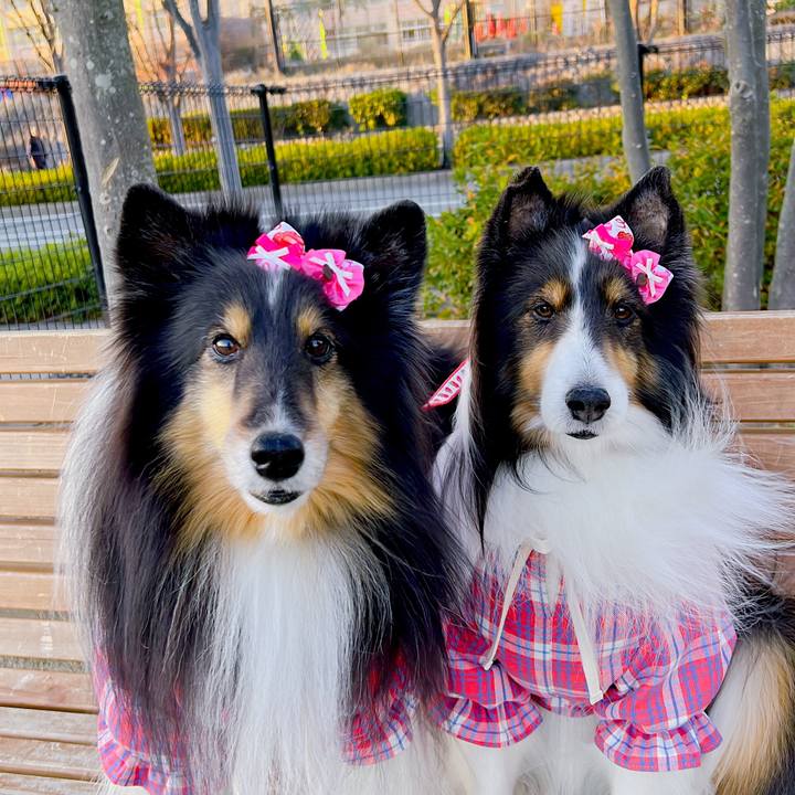 B2ff6569 0bb8 4a87 920a 12a53a1e3fed 1640891642955