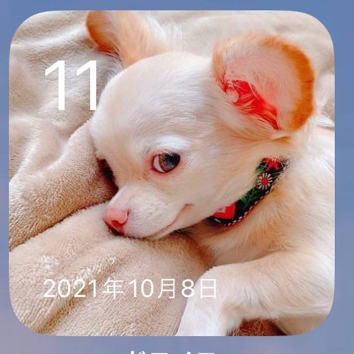 B2ff665e 068d 43a7 a2cc fa5d36f94fa6 1665475089484