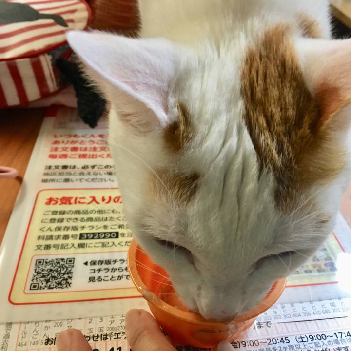 B2ff6cfb f949 4da2 a540 47aa74ed5da1 1529157820192