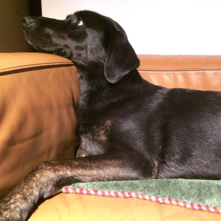 B2ff818f da08 4aa9 bb4e 1cccfb48ffac 1527337109431