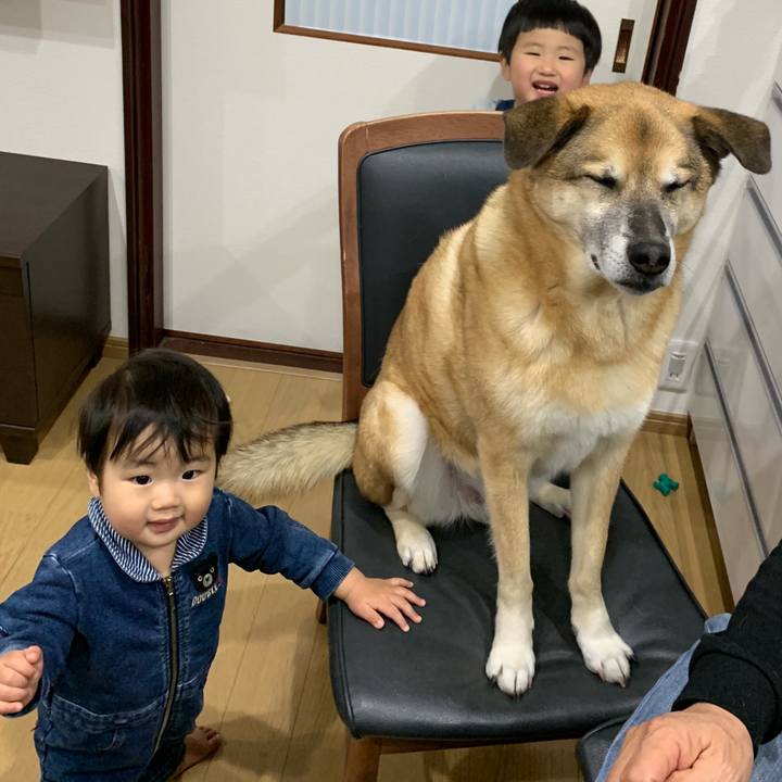 B2ff8981 b400 41fa a8aa 278002ef72e9 1553257140977