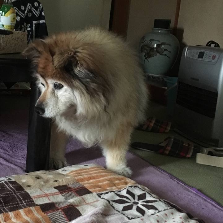 B2ffdf85 c42b 4c48 b5fb 9d19ce6468f5 1567380736707