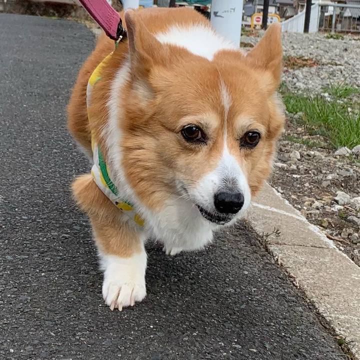 B2fffdd1 4aed 4a0e 9736 e967b1c3b563 1704257210075