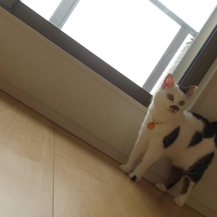 B3004889 d68c 43ae 857c f43dd5e1c6e8 1599211289899