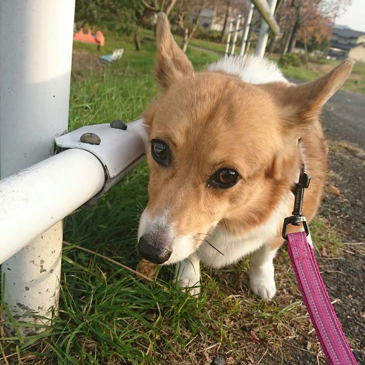 B30065e2 7495 4be5 bb68 ebe83cdfc2c9 1543927126500