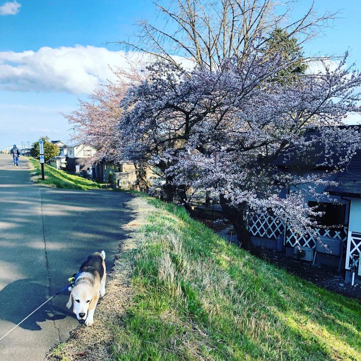 B3006ac6 1e53 451b a6d7 a09c2e0eb153 1586093205324