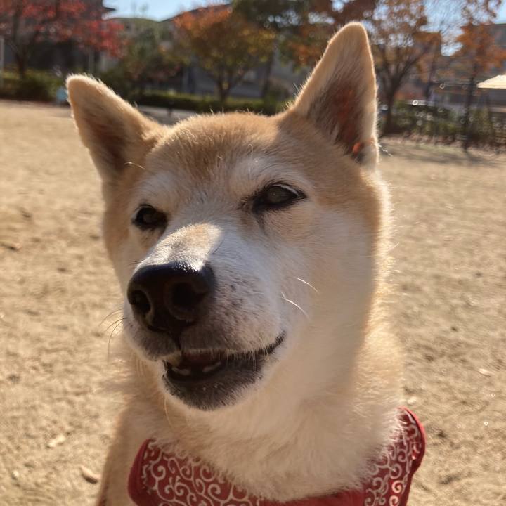 B3007b8c 5c8d 4844 a453 9115fae27256 1638504991007