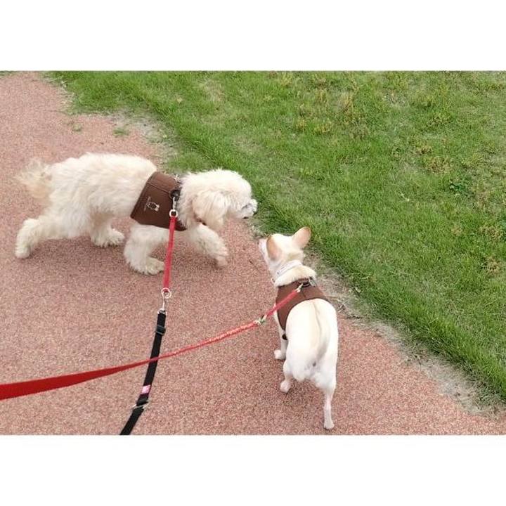 B3007ea0 697e 497a 8cd4 443ecafd848e 1716110453978