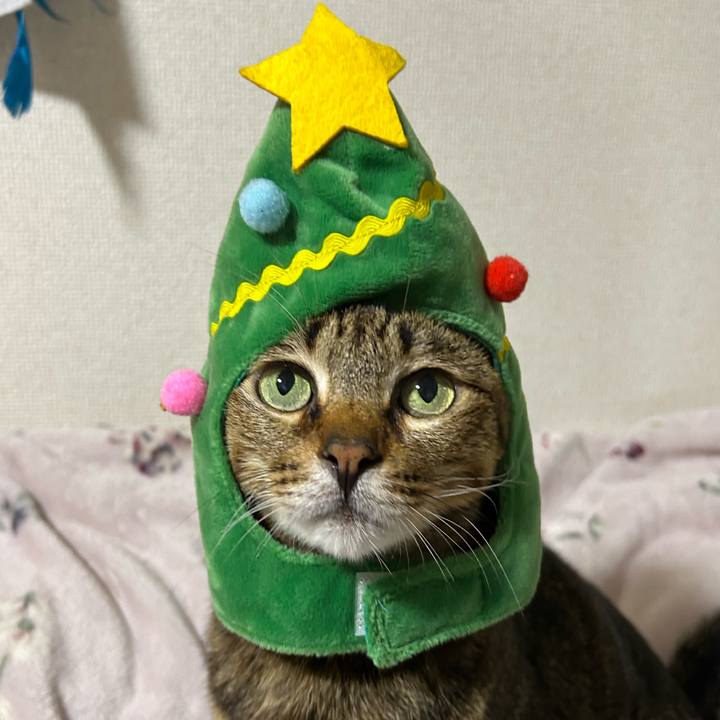 B3009b46 c3a6 42a3 92d5 8a1ce08dc109 1735088053127