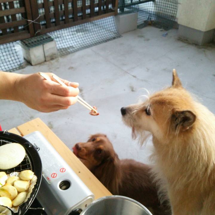 B300c0f4 8151 46e8 a248 2e3c404a8b65 1525516457838