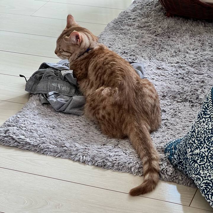 B300c70f e027 49da a822 2c285bb8840d 1682746002108