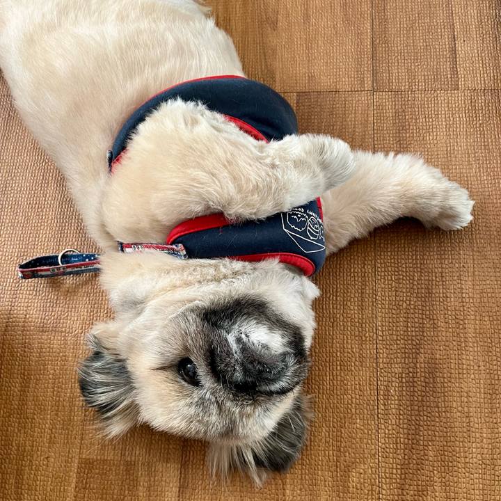 B300c8bd 789c 4b8f bb24 5223bdd190ca 1765093494792