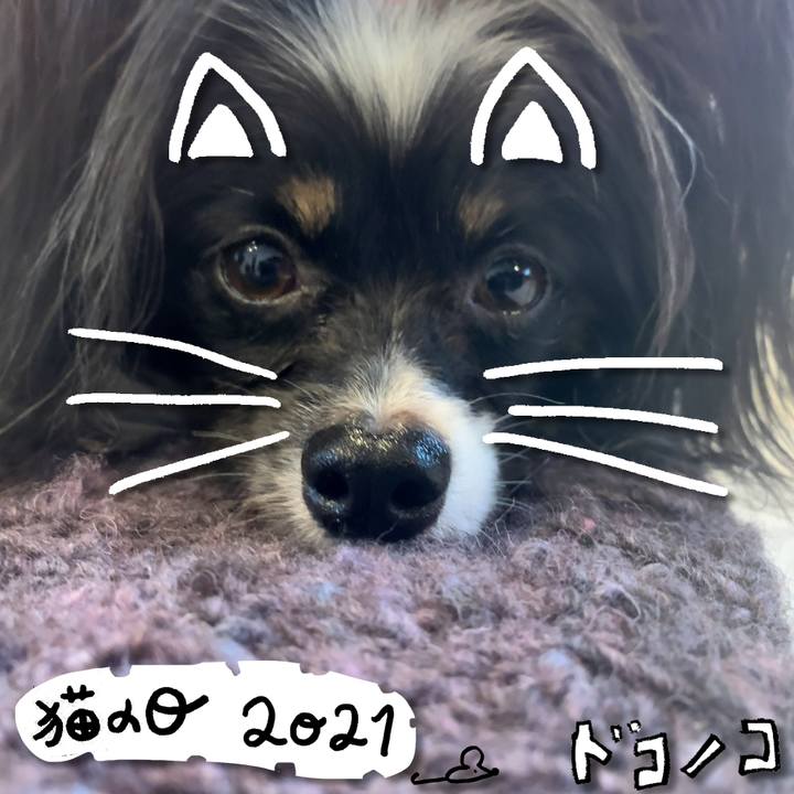 B300d07f 7297 40d7 9fa7 8be0b5e185c8 1614002463331