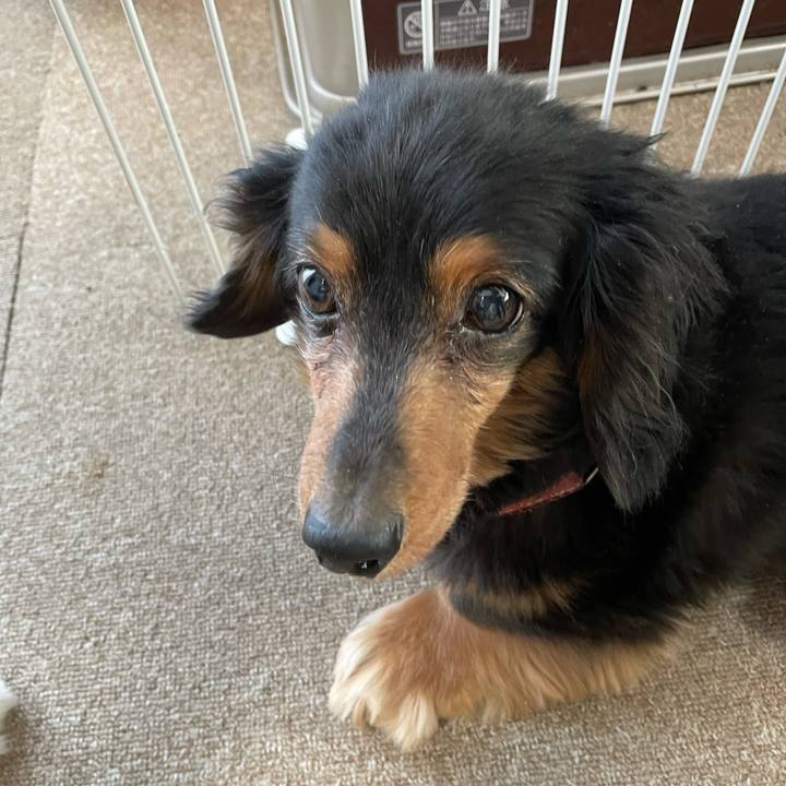 B300d530 cf26 4499 951e 82352e7af9a4 1614118016007