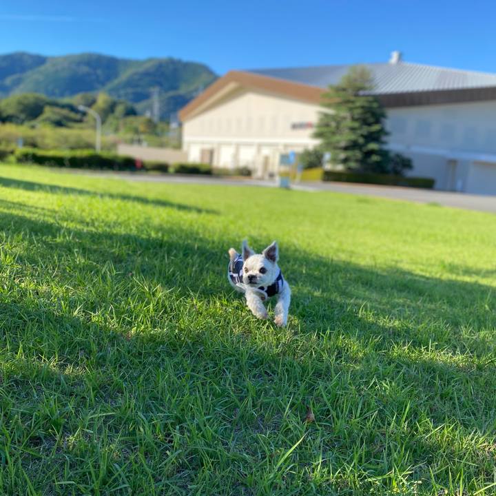 B301062c 3eab 49d8 b613 34618e9eaab4 1632044453551