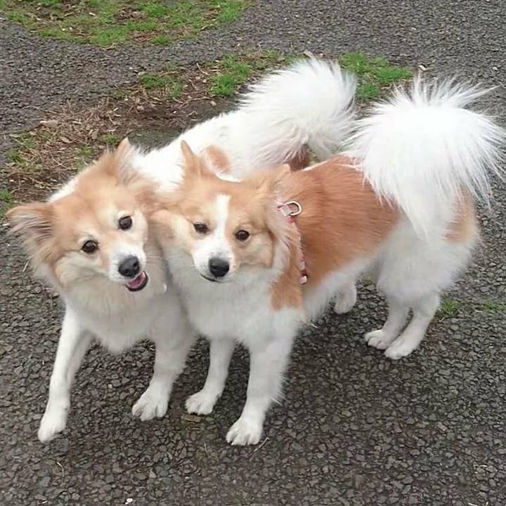 B3010f94 6a39 497b 9888 3993eeb3136b 1552397917795