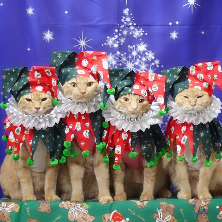 B3011f13 1414 4433 83ca 0564d2d94cfd 1702794755017