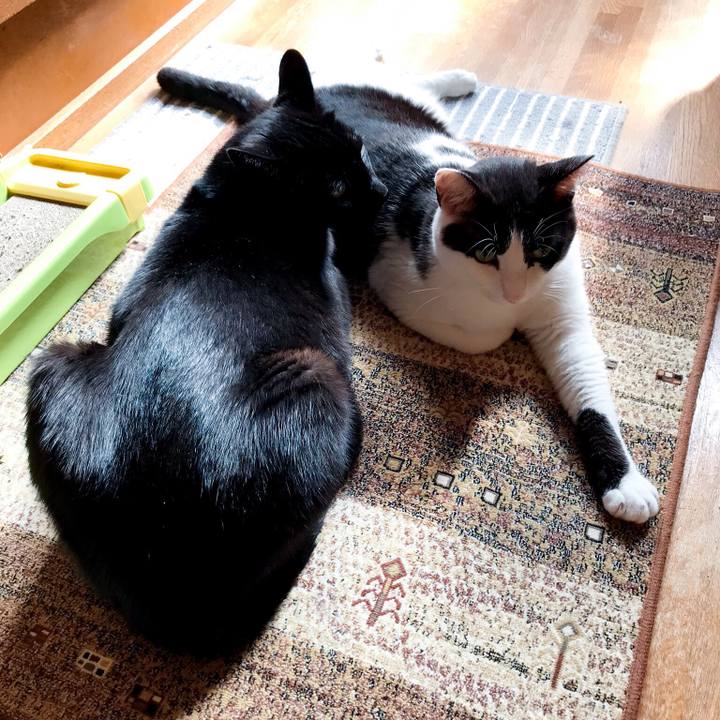 B301389a 65ed 4eb9 9889 d6c6243bbb19 1529505890159