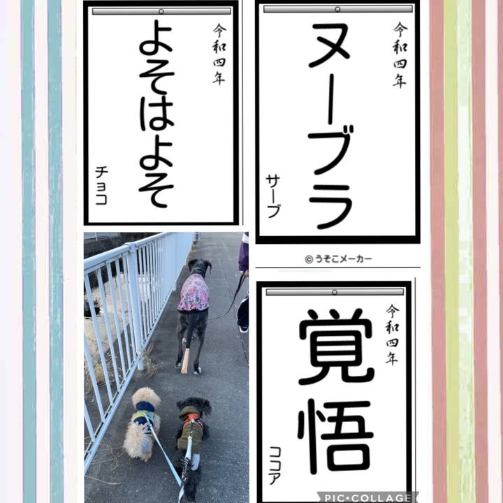 B3014829 fb29 4576 88e9 e73bbcb01e1e 1641200724369