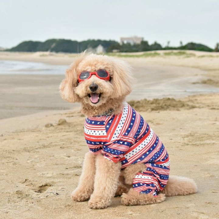 B301513d cc6f 4c90 bde5 db2517044f21 1533723703666