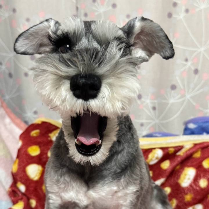 B3015ece 4fc5 4b35 a0a9 c76652afbf52 1764674064754