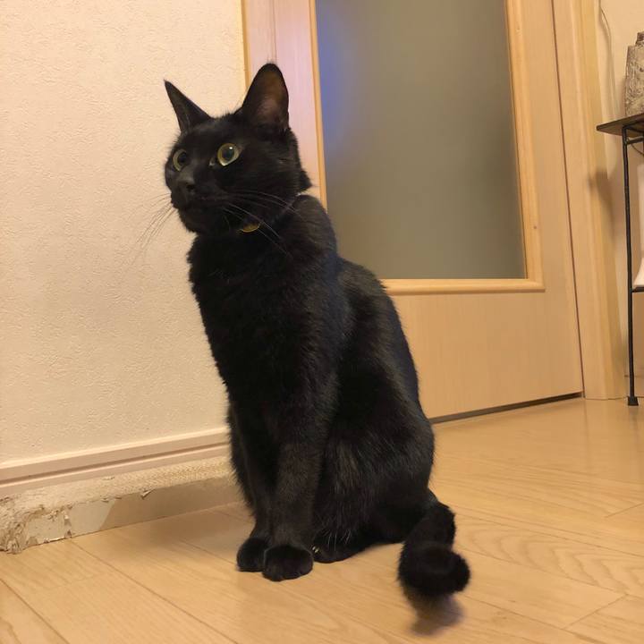 B3017214 fcd0 4271 a2b9 ff3e74614221 1547038338006