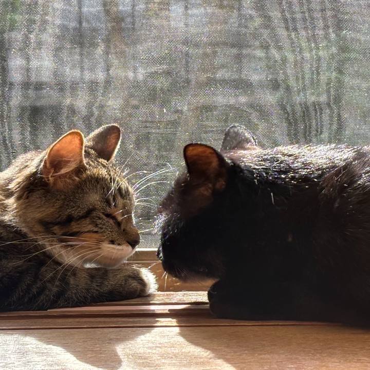 B30172c7 7147 4150 90ab d76f81961c84 1730254849169