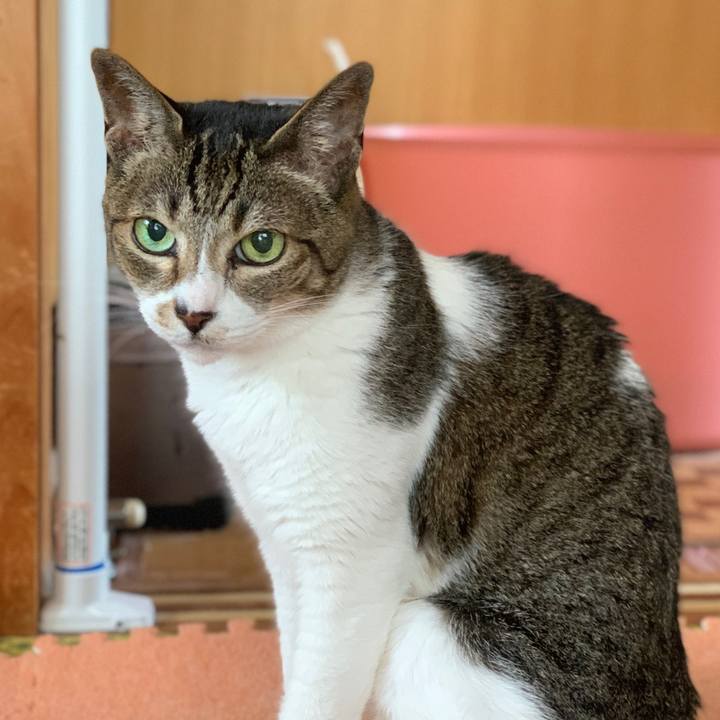 B3018529 cbb6 4b2e a7d9 e92cd1b7f5fb 1593307328520