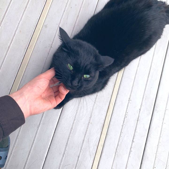 B3019d8d b64e 4896 8697 7852b2bdec88 1575980128277