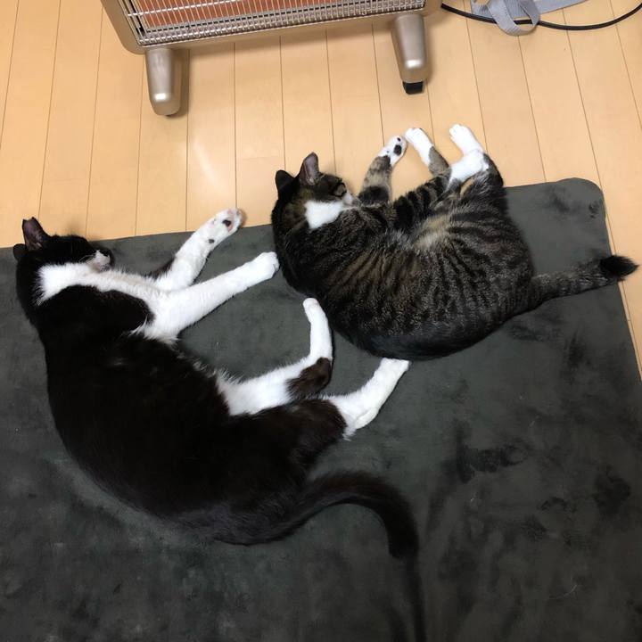 B301a019 6704 4e44 a738 9b974fef6e95 1556461016567