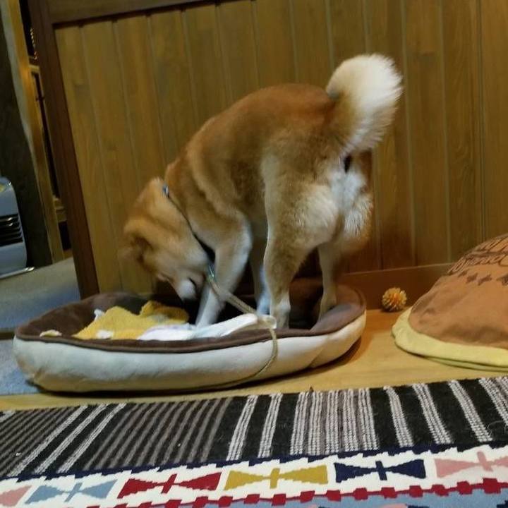 B301a3ea ae82 4c8d 8884 dbb5b5c33bb4 1573205915545